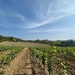 Podere Casanuova Ruber I View Of سان جيمينيانو